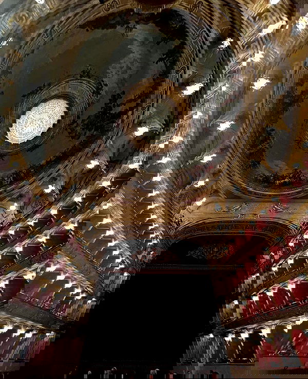 elsgatti image ~ Altpins