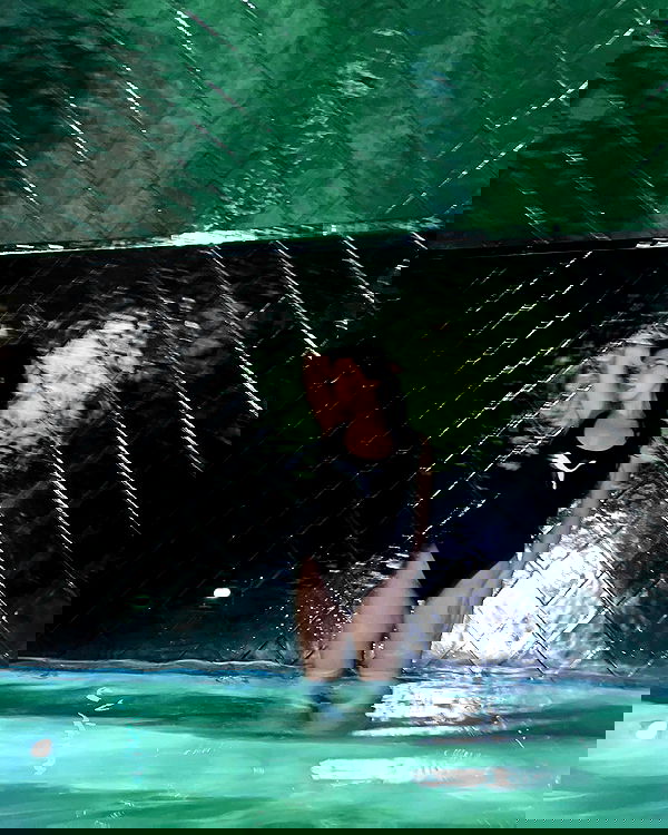 elsgatti image ~ Altpins