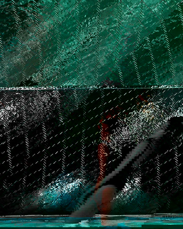 elsgatti image ~ Altpins