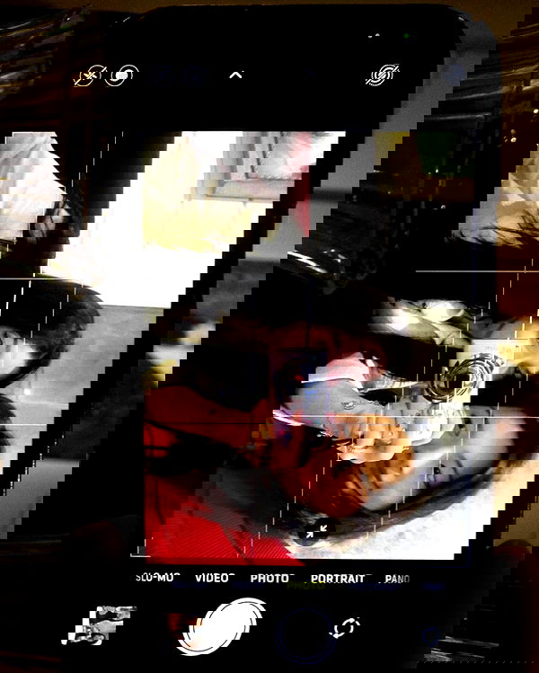 elsgatti image ~ Altpins