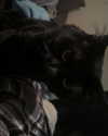 elsiearaujoo Altpins Profile Picture
