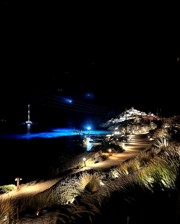 elymexx instagram image archive image