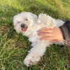 emilia.nia Altpins Profile Picture