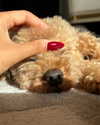 emilia.nia Altpins Profile Picture