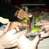 emiliawesolowski Altpins Profile Picture