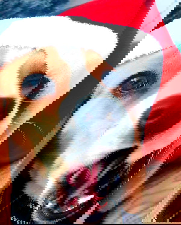 emily.otaku emily.otaku archive image