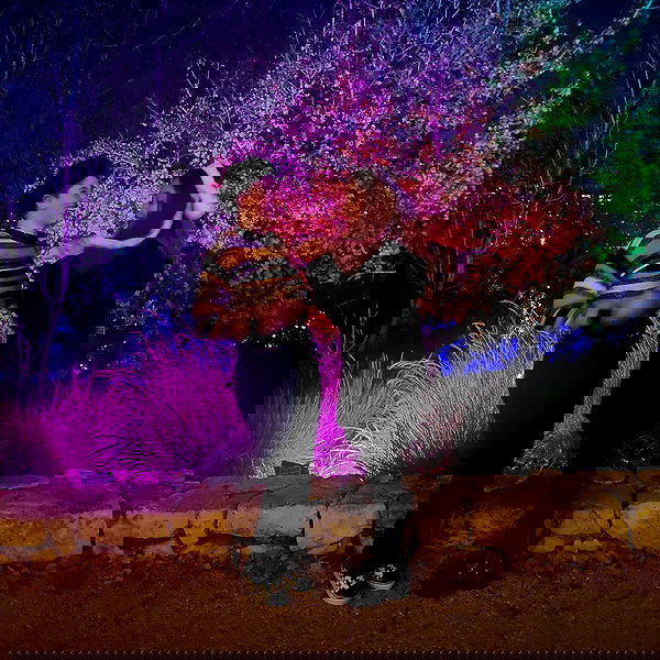 emily.otaku emily.otaku archive image