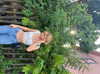 emilytupperr Altpins Profile Picture