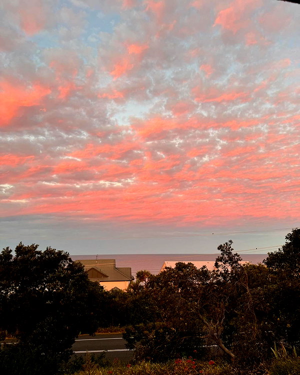 emilyymcwilliam instagram image archive image