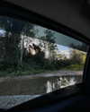 emilyymcwilliam Altpins Profile Picture