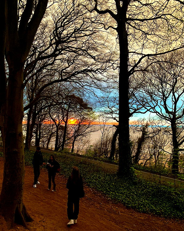 esmetavner instagram image archive image