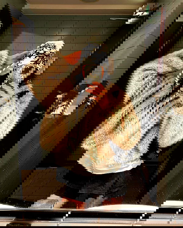 evameganosova image ~ Altpins