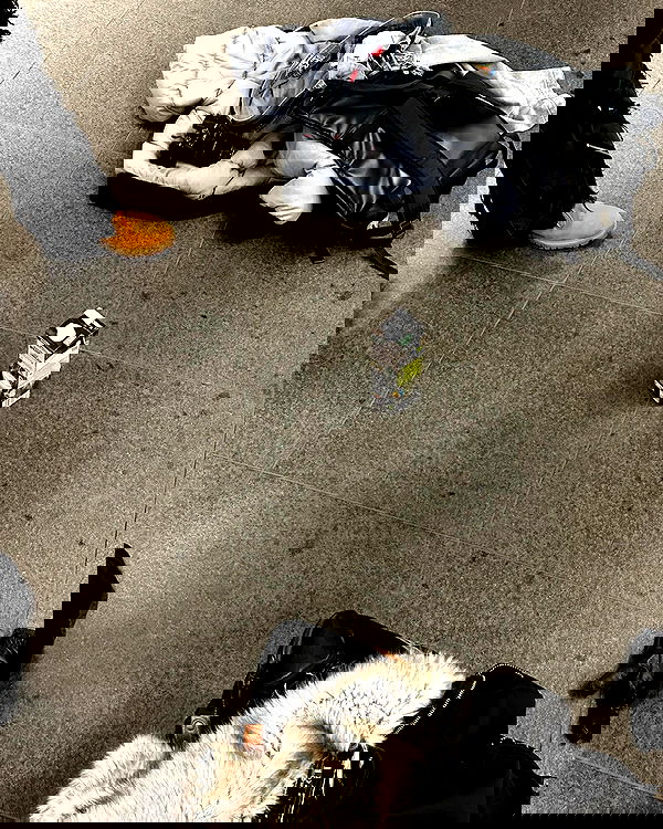 evameganosova image ~ Altpins