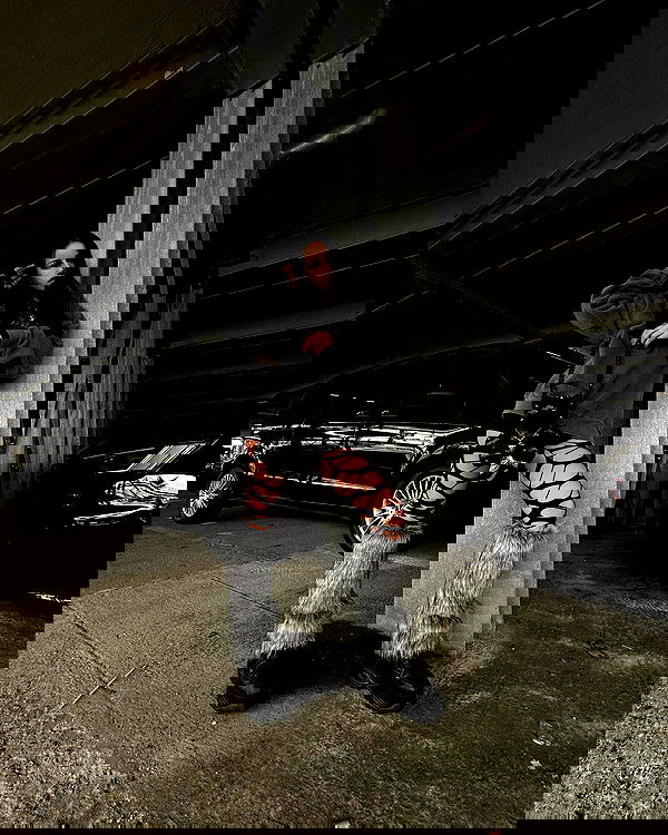 evameganosova image ~ Altpins