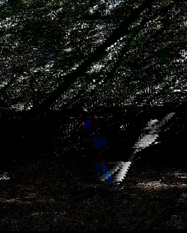 evameganosova image ~ Altpins