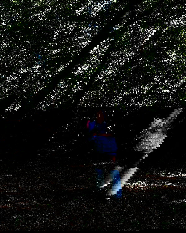 evameganosova image ~ Altpins