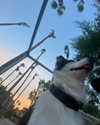 evie.eienni Altpins Profile Picture