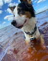 evie.eienni Altpins Profile Picture