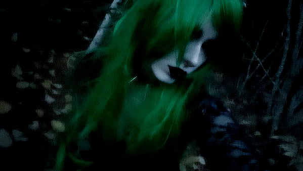 eviispirit instagram image archive image