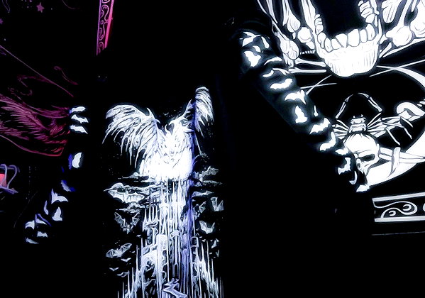 eviispirit instagram image archive image
