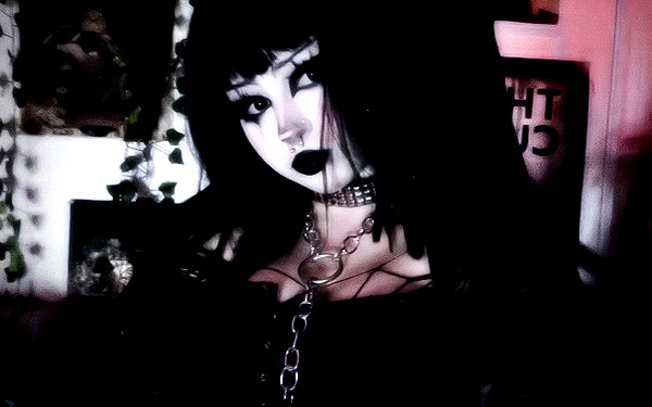 eviispirit instagram image archive image