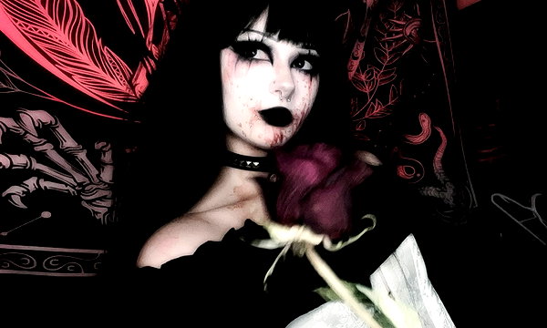 eviispirit instagram image archive image