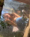 fabiana.bolanos Altpins Profile Picture