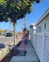fabiana.bolanos Altpins Profile Picture