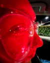 fabiana.bolanos Altpins Profile Picture