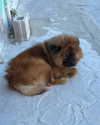 fabiana.bolanos Altpins Profile Picture