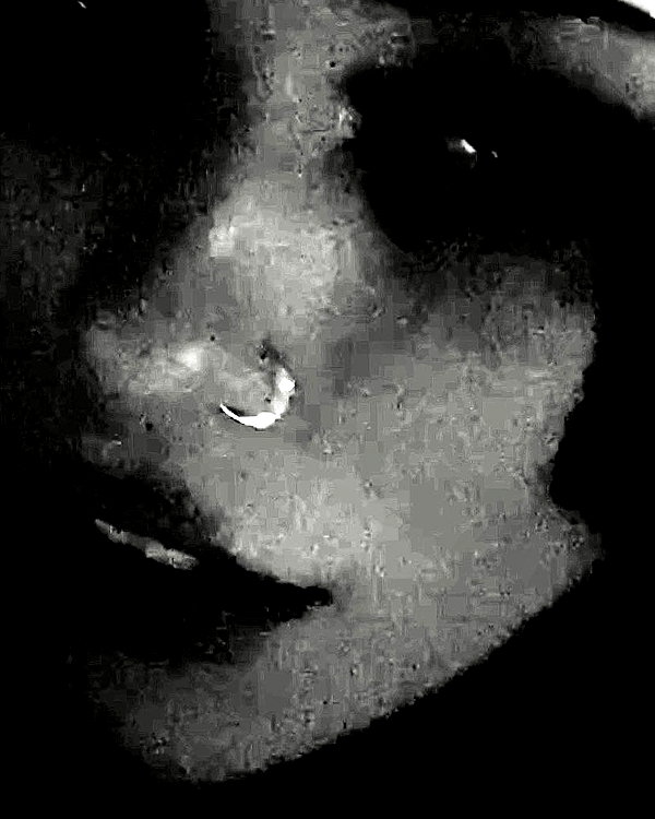 faeryfatale instagram image archive image