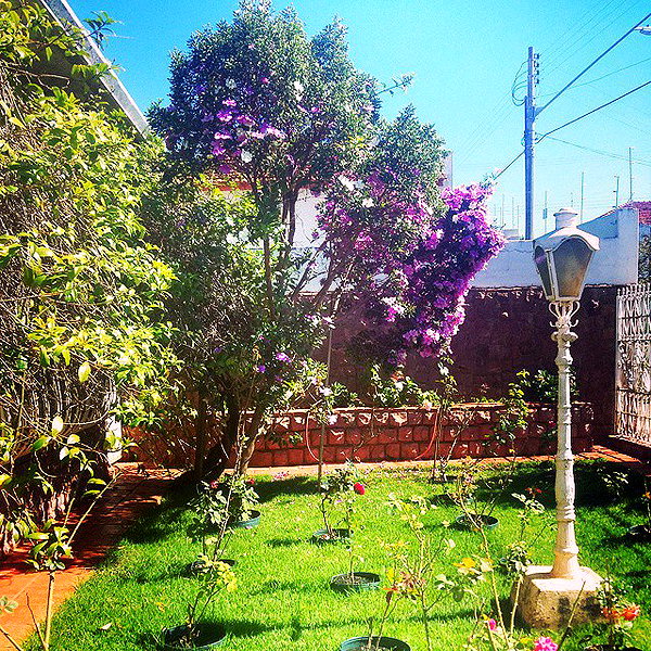 fegalvao_ instagram image archive image