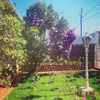 fegalvao_ Altpins Profile Picture