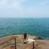 fegalvao_ Altpins Profile Picture