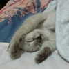 fegalvao_ Altpins Profile Picture