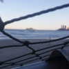 fegalvao_ Altpins Profile Picture