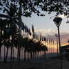 fegalvao_ Altpins Profile Picture