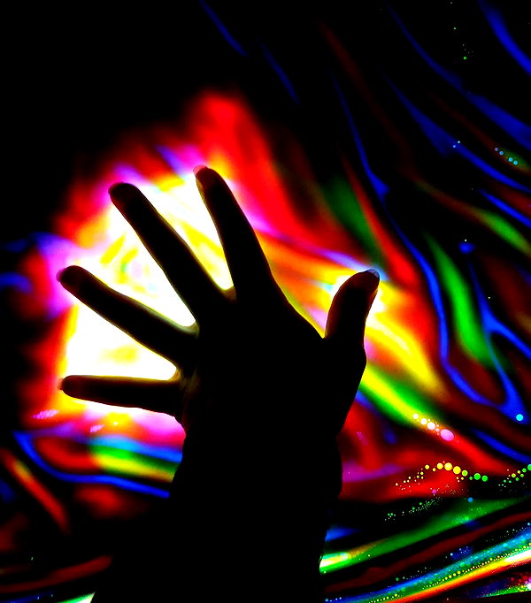 fegalvao_ instagram image archive image