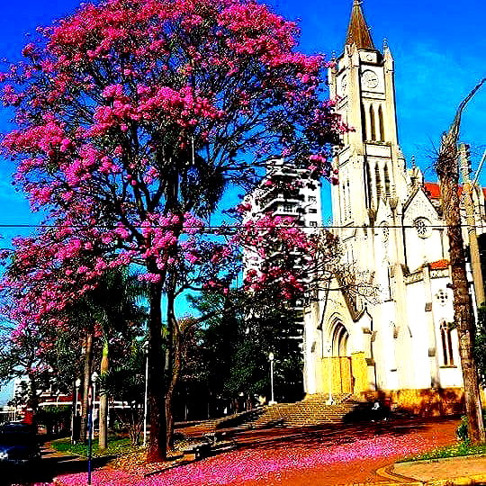 fegalvao_ instagram image archive image