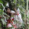 fegalvao_ Altpins Profile Picture