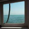 fegalvao_ Altpins Profile Picture