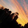fegalvao_ Altpins Profile Picture