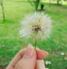 fegalvao_ Altpins Profile Picture