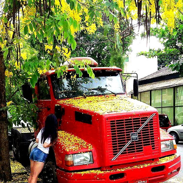 fegalvao_ instagram image archive image