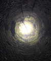 fegalvao_ Altpins Profile Picture