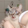 fegalvao_ Altpins Profile Picture