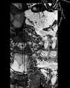 femme.fatale_8 Altpins Profile Picture