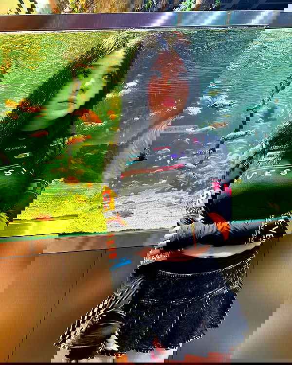 flarebahr flarebahr archive image