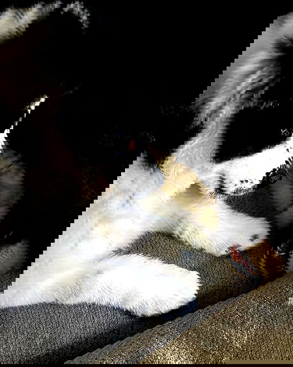 flarebahr flarebahr archive image