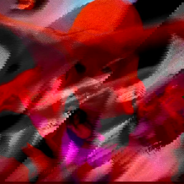 flarebahr flarebahr archive image